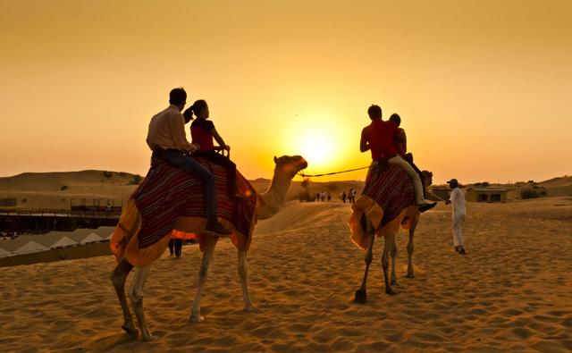 Evening Desert Safari